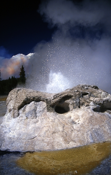 yellowstone upper geyser basin 4