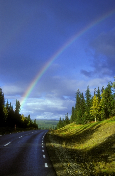 follow the rainbow
