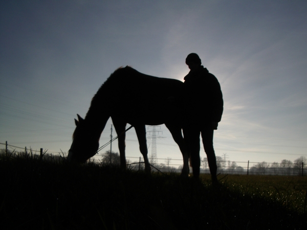 horse, and, rider, in, sunset - 302102