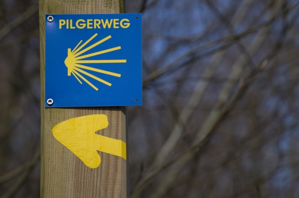pilgrim path shield