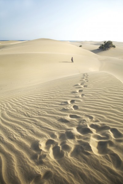 footsteps at the desert