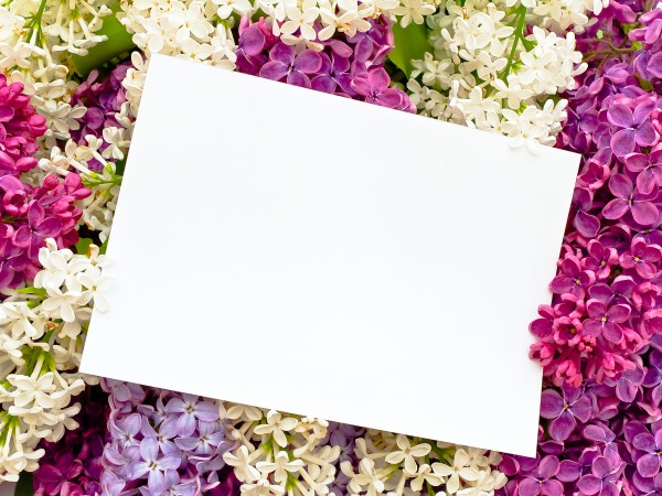 lilac background with invitation