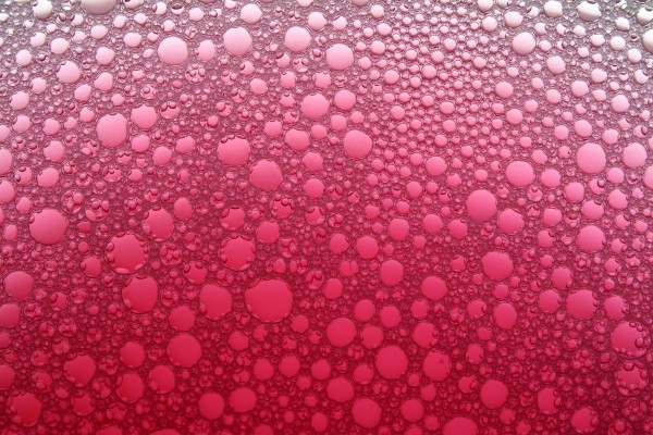graduated pink bubbles background
