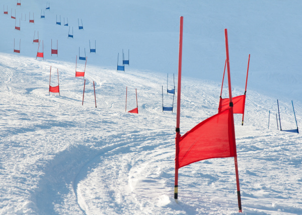 ski gates with parallel slalom