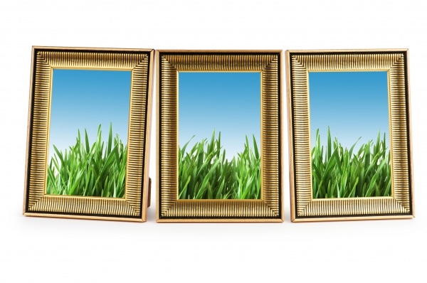 green grass in the picture frames