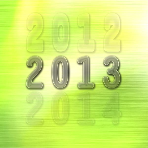 year 2013