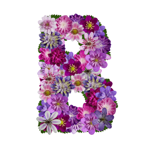 Blume 11 Buchstaben