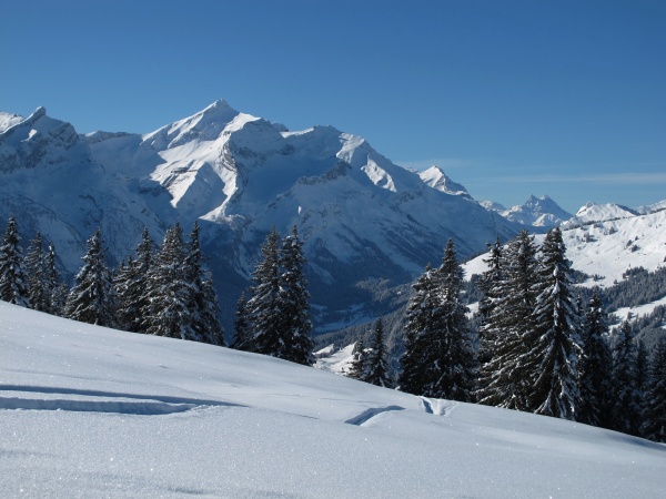 winter scenery near gstaad oldenhorn