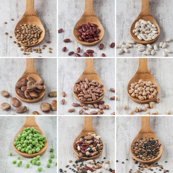 mixed legumes collage