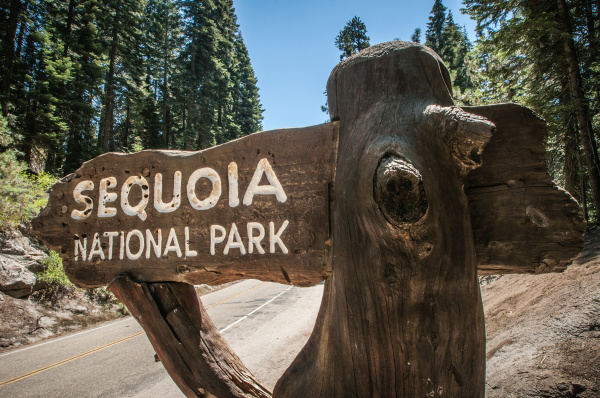 Sequoia sign - Stock Photo #10287973 | PantherMedia Stock Agency