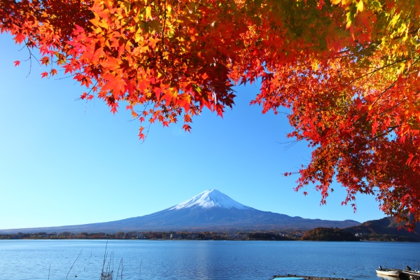 Mt. Fuji in autumn - Royalty free photo #10803920 | PantherMedia Stock ...