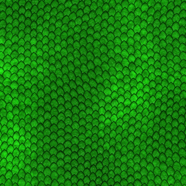 Green Dragon scales pattern - Stock image #11039278 | PantherMedia ...