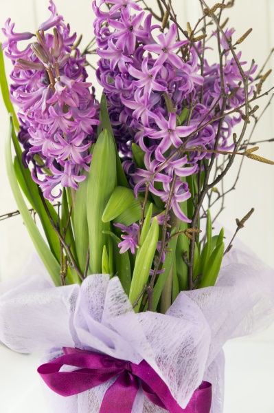 bouquet of blooming hyacinths