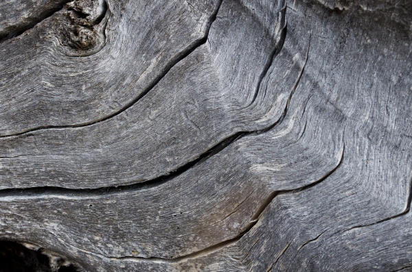 nature abstract naturally weathered wood