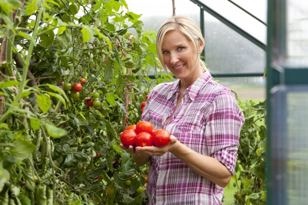 smiling woman picking ripe tomatoes in