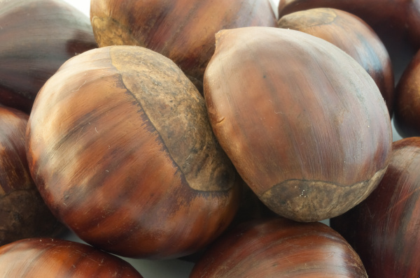 background of chestnut