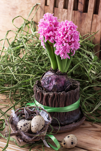 spring decoration with quail eggs and