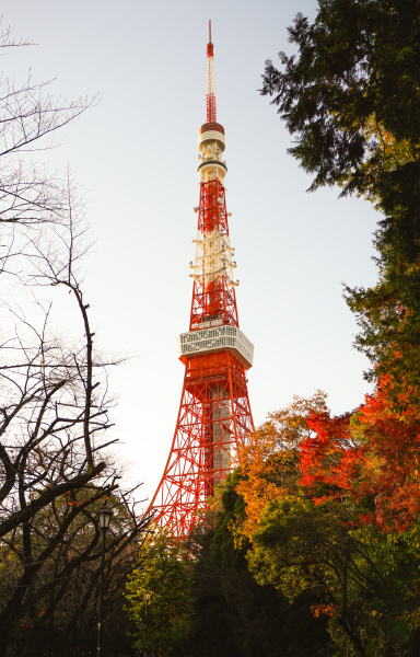 tokyo in autumn