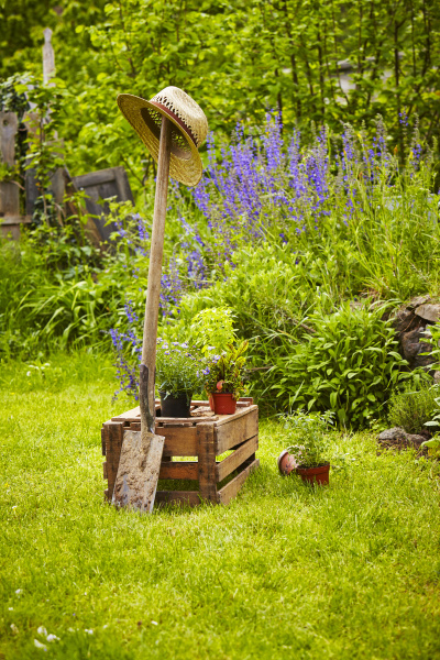 garden tool wooden box garden