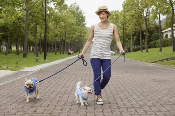 woman walking two dogs on a