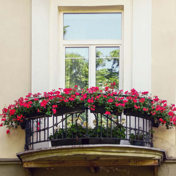 balcony with red flowers