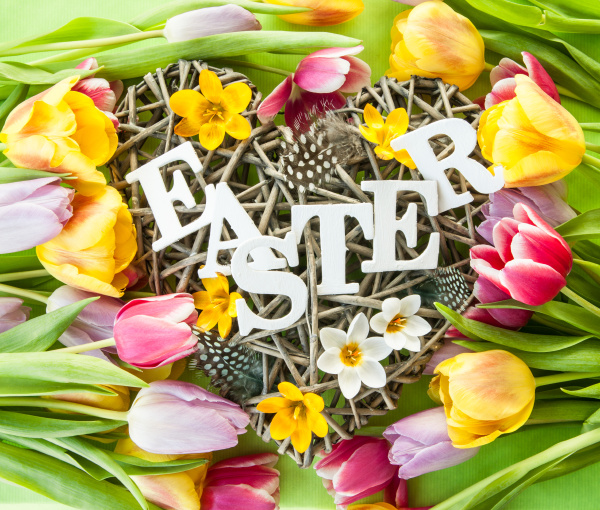 heart with feathers and crocuses