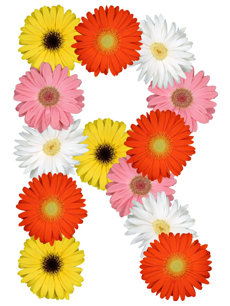 Letter R Alphabet from Flowers Freeplate on White - Royalty free image ...