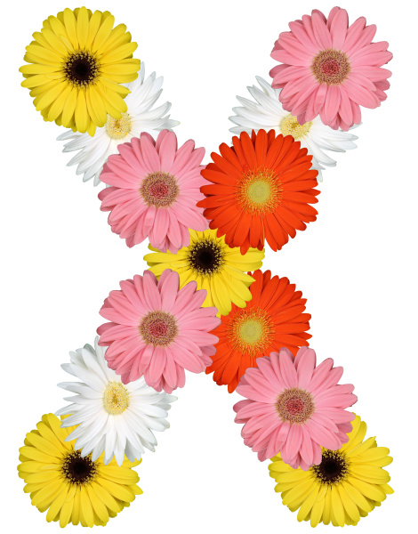 Letter X Alphabet from Flowers Freeplate on White - Stock image ...