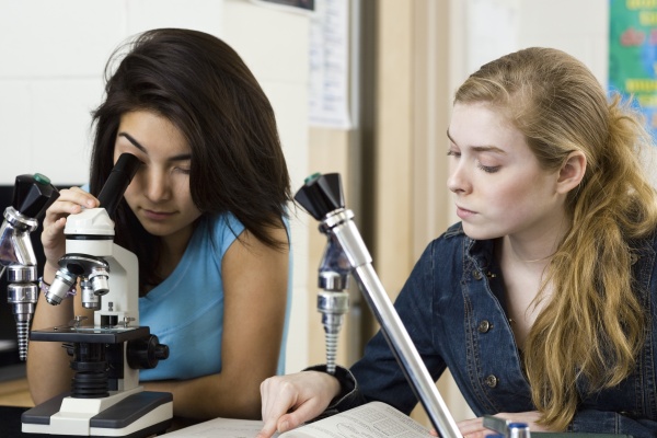 classmates completing science class assignment together