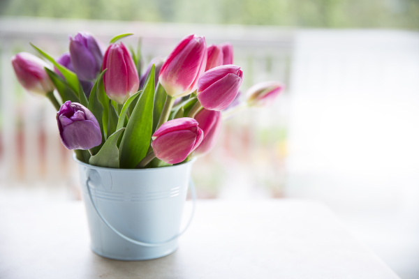 bouquet of tulips