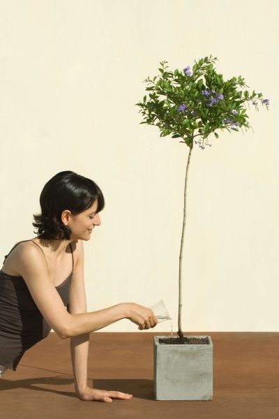 woman watering potted plant smiling