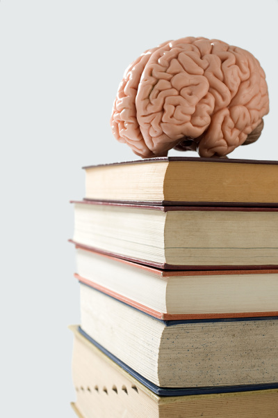 brain on a pile of books