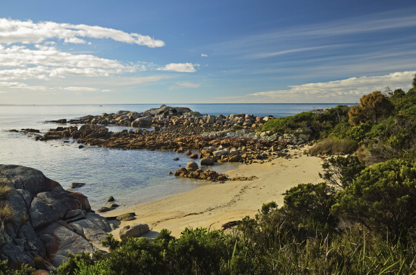beach at st helens conservation