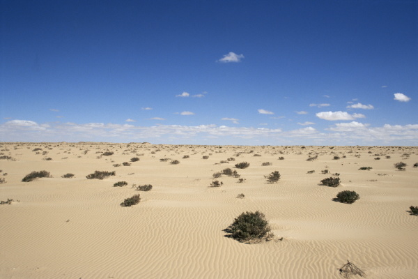 desert between moroccan border and nouadhibou