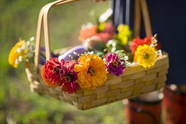 basket of flowers and vegetables being