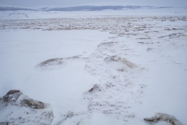 tundra landscape in the yukon territory