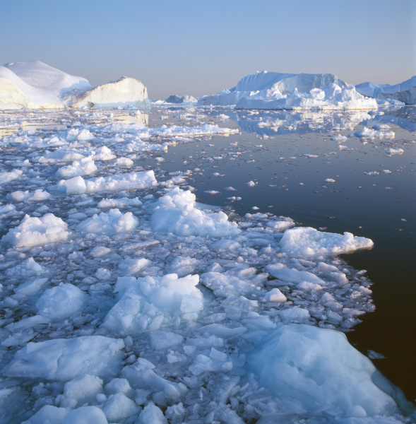 icebergs in waters of disko bay