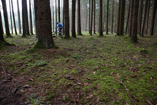 man mountain biking in forest