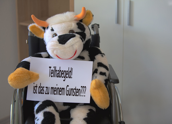 plush toy cow sits in a
