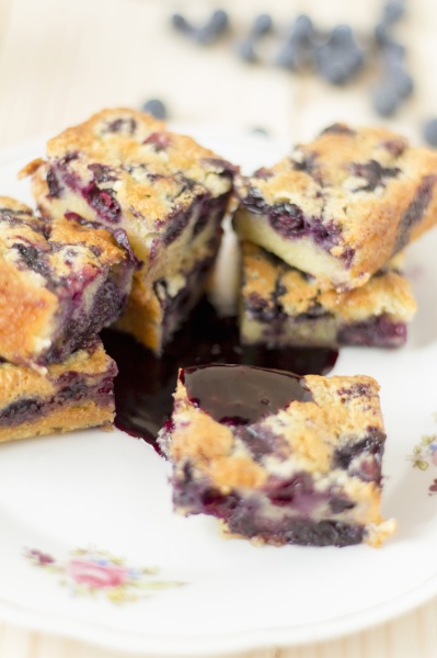 blueberry cake slices with a chocolate