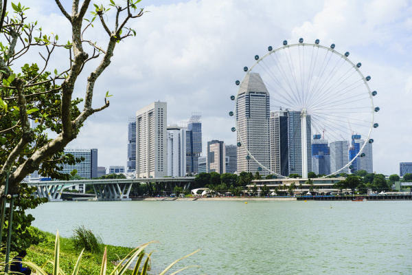 the singapore flyer ferris wheel