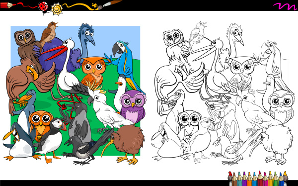 bird characters group coloring book - Royalty free image #23027415 |  PantherMedia Stock Agency