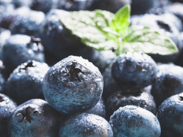 extreme close up blueberries