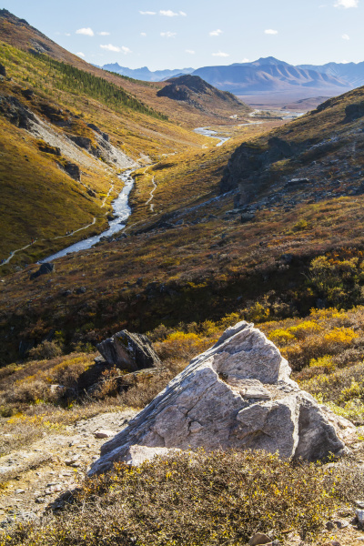 savage river and the landscape in