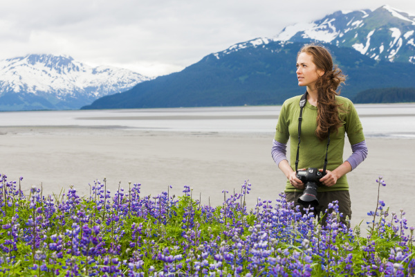 photographing lupine along turnagain arm