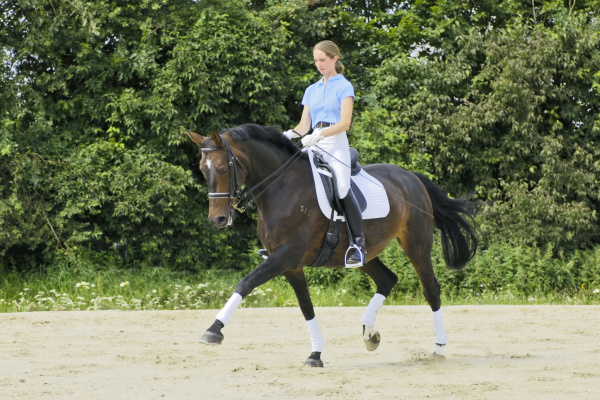young dressage rider on 19 year