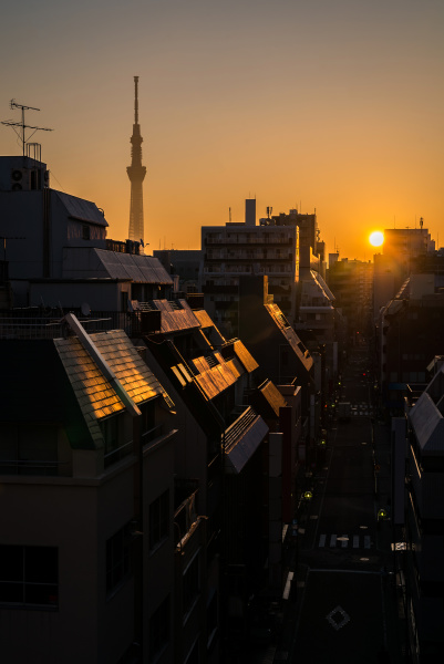 tokyo skytree sunrise ueno