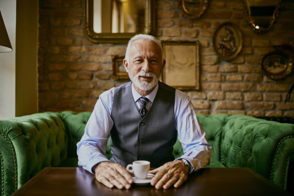 portrait of elegant senior man sitting
