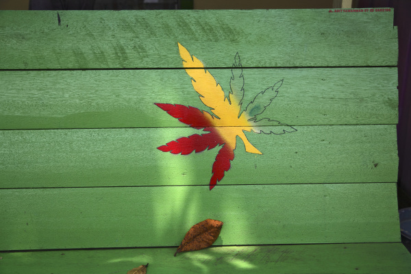hemp leaf on bench tenggarong