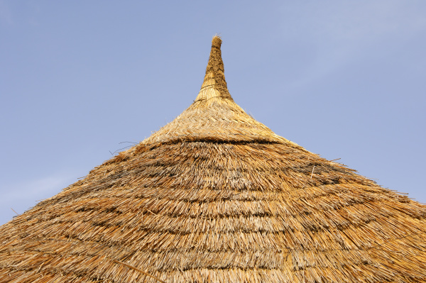 thatched conical roof of an african